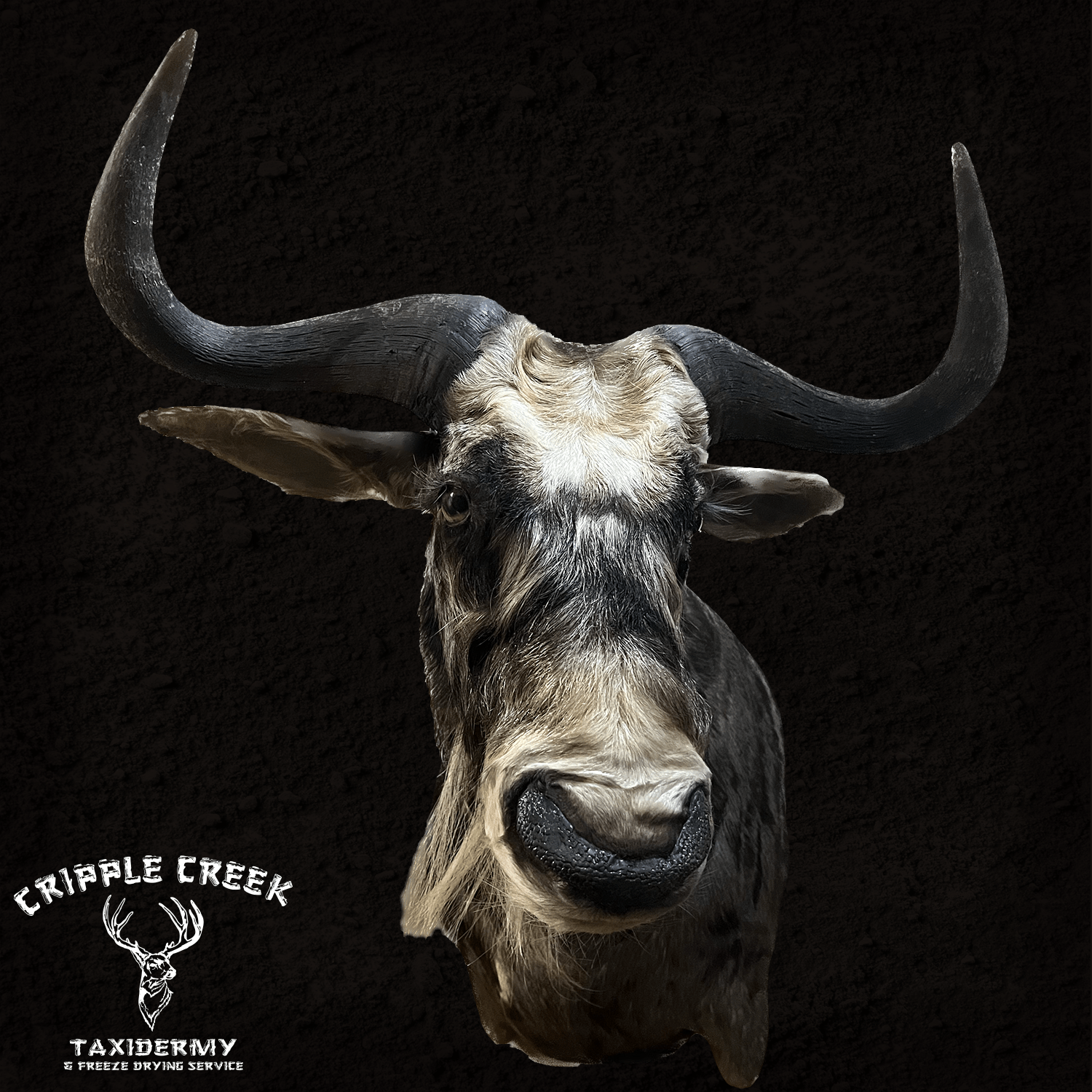 African Wildlife Cripple Creek Taxidermy Murfreesboro TN