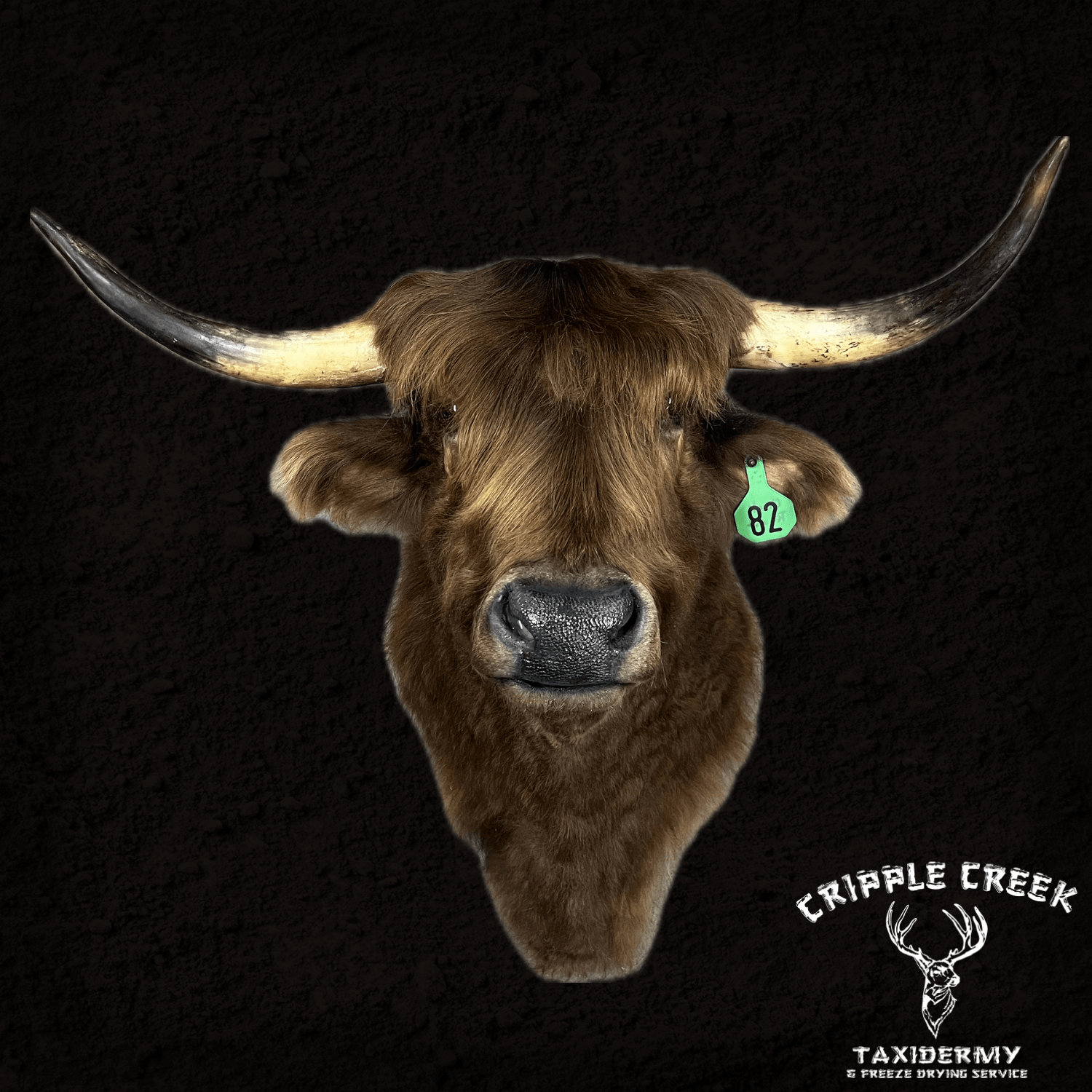 Domestics Cripple Creek Taxidermy Murfreesboro TN