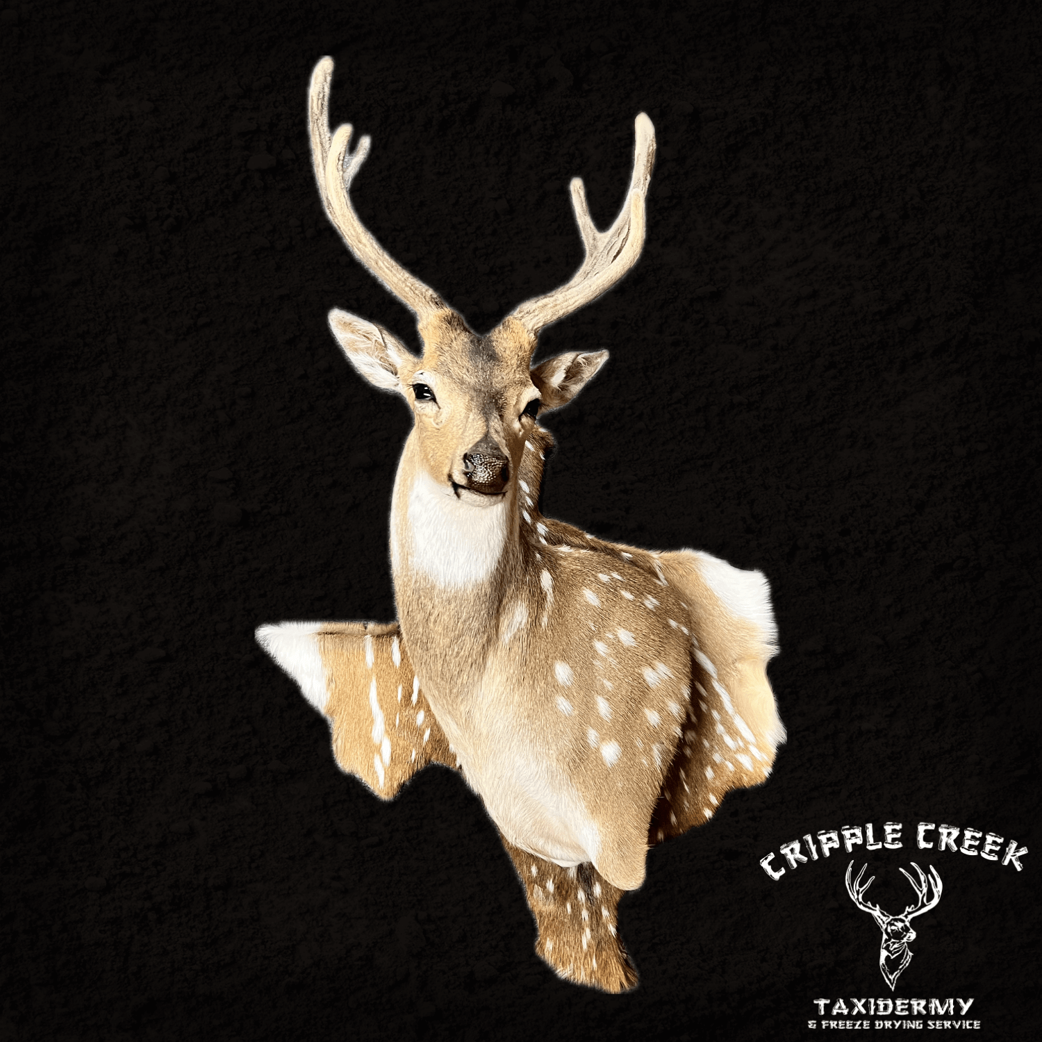 Exotics Cripple Creek Taxidermy Murfreesboro TN